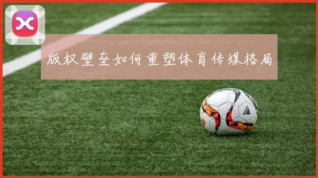 版权壁垒如何重塑体育传媒格局
